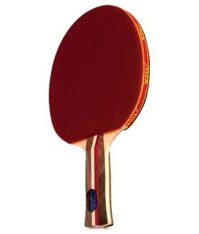 Cốt Vợt STIGA Master Active