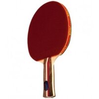 Cốt vợt Stiga Master Active