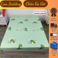 cototon poly || Lẻ Ga Trải Giường Cotton Poly Đủ Kích Thước 1m6 , 1m8 , 2m2