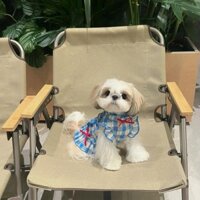 Cotton Nguyên Chất Mùa Hè Bong Bóng Tay Lưới Áo Sơ Mi Quần Áo Thú Cưng Công Chúa Xiaoxiang Fengju Dịch Vụ Gia Đình Teddy Biebeli Mèo