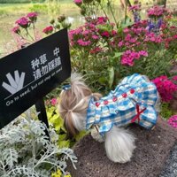 Cotton Nguyên Chất Mùa Hè Bong Bóng Tay Lưới Áo Sơ Mi Quần Áo Thú Cưng Công Chúa Xiaoxiang Fengju Dịch Vụ Gia Đình Teddy Biebeli Mèo