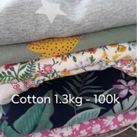 Cotton- Thủy Trúc