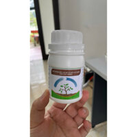 CP cải tạo đất/cây trồng phòng bệnh hệ rễ: KHÔ VẰN, THỐI GỐC, ĐEN RỄ, HÉO XANH, LỞ CỔ RỄ, CHẾT CHẬM...Dâu tây, dưa, cà