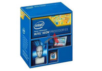 CPU Intel Xeon E3-1271 v3 (3.6 GHz, 8M Cache, 4C/8T, LGA 1150)