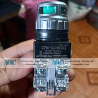 CRX-G25MDG Nút nhấn có đèn 24V phi 25 màu xanh