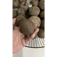 củ bình vôi nhập khẩu thái lan 5/6cm