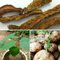 Củ Bình Vôi thái lát [1KG] Hàng khô sạch sẽ