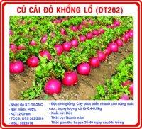 củ cải đỏ khổng lồ