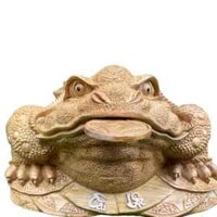 Cụ cóc cao 30 ngang 50cm