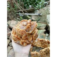 Cụ cóc ngậm tiền  15cm- tặng vòng đeo tay - ĐÚNG MẪU ĐÚNG GIÁ - HÀNG THẬT TẠI XƯỞNG