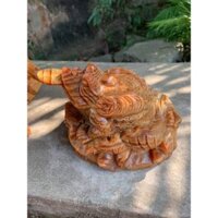 Cụ cóc ngậm tiền  15cm- tặng vòng đeo tay -  TƯ VẤN MIỄN PHÍ