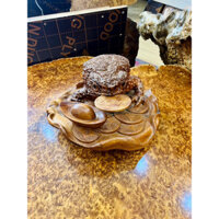 cụ cóc thiềm thừ nu ngọc am