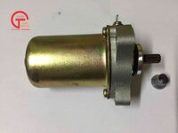 CỦ ĐỀ MAX NHẬT
