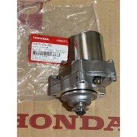 Củ Đề W Anpha (Cục) Mã hàng: 31210KTL780