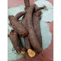 củ gai tươi ha nôi 1kg