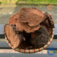 Củ hà thủ ô đỏ khô rừng tự nhiên Tây Bắc thượng hạng (lát to sấy khô củ > 5kg) ngâm rượu, làm viên hà thủ mật ong vừng