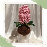 Củ hoa dạ lan hương, hoa len, len móc thủ công