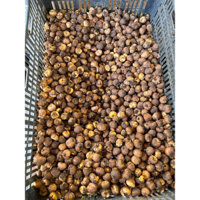 Củ Hoa Lay ơn Đà Lạt