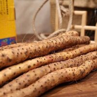 Củ hoài sơn chính gốc Tiêu Tác Hà Nam Trung Quốc củ khoai mài dinh dưỡng