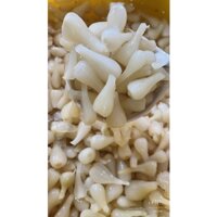 CỦ KIỆU NGÂM MẮM