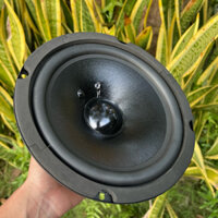 Củ loa bass 20 cm Quadral 4Ohm 80W âm bass cực tốt màng đẹp LT Speaker