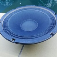 Củ loa kẹo kéo bass 25 từ 120 coil 49.5mm