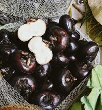 Củ Năng Tươi (Củ Mã Thầy)