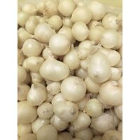 Củ nén (hành tăm) Miền Trung Loại 1 - 500g