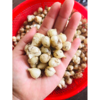 CỦ NÉN HUẾ ( HÀNH TĂM ) SIÊU THƠM