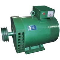 Củ phát điện Đông Phong 3kW 220V