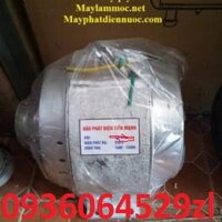 củ phát điện máy nổ chạy dầu Tiến Mạnh 0,3kw