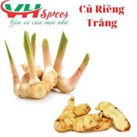 Củ Riềng Tươi