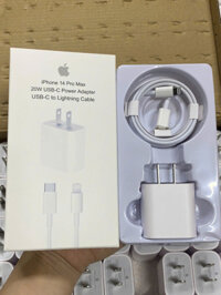Củ sạc Apple dành cho ipad- iphone loại 1