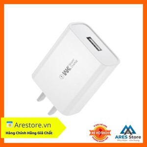 Củ sạc thông minh WK WP-U100