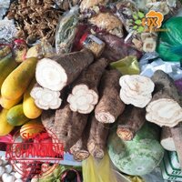 củ sắn dây tươi -1 ký