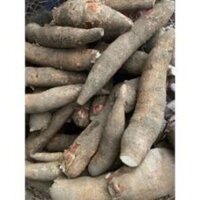 Củ sắn mì 1kg