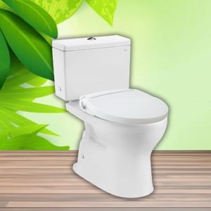 Củ sen Toto TVSM104NSR