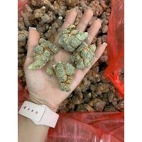 củ tam thất bắc