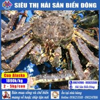 CUA ALASKA sống đang bơi size 2-5 kg/con có hỗ trợ sơ chế, sản phẩm của Hải Sản Biển Đông ở Hà Nội