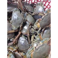 Cua biển thiên nhiên