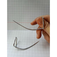 cựa gà tre nòi việt lai mũi thẳng