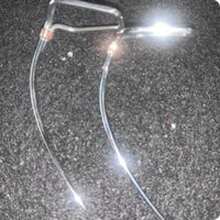 cựa gà việt lai cải tiến