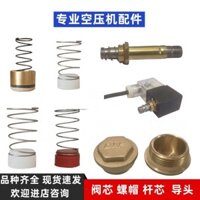 Cửa Hàng Máy Nén Khí Kiểm Tra Lõi Van Bơm Không Khí Kiểm Tra Phụ Kiện Van Đai Ốc Cắm Lõi Lò Xo Lõi Van Đồng Lõi