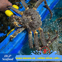 CUA HOÀNG ĐẾ (kingcrab) 1.5-2kg/con nhập khẩu [GIAO NHANH HỒ CHÍ MINH 2H)