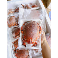 Cua Huỳnh Đế Cấp Đông (400-450gr)