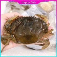 Cua Lột (5-6 con/kg) - Giao Hỏa Tốc HCM