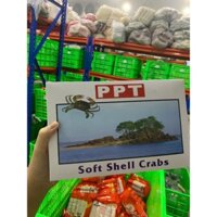 Cua Lột con lớn size 6-8 con hộp 1kg (GIAO HCM)