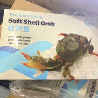 CUA LỘT MYANMAR SIZE ĐẠI 5-7CON/KG. HÀNG VIP NÉT ĐỦ 100%