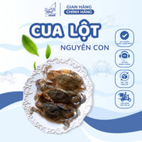 Cua Lột Nguyên Con Size 7-8 Con Túi 1KG Blueseafoods Hàng Tươi Ngon Tẩm Bột Chiên Giòn