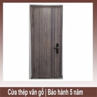 Cửa thép vân gỗ 1 cánh đơn - KG1.08